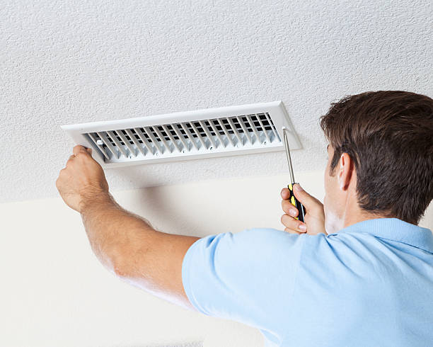 Best Emergency Mold Remediation  in Berea, KY