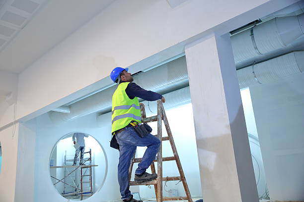 Best Attic Mold Removal  in Berea, KY