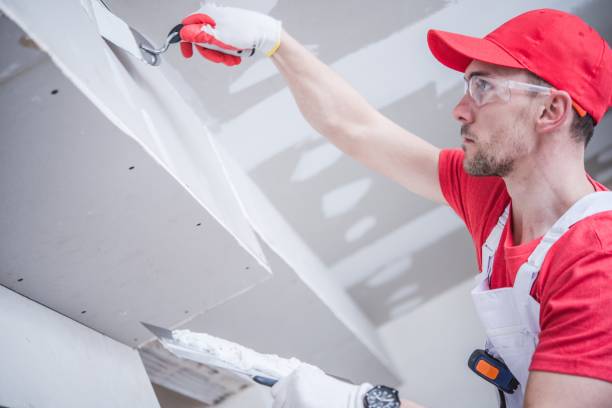 Best Environmental Consulting for Mold Prevention  in Berea, KY